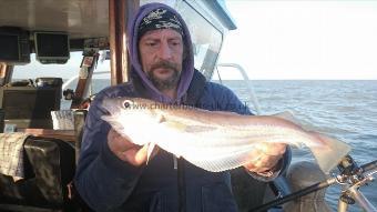 3 lb 4 oz Whiting by Pete the pirate,