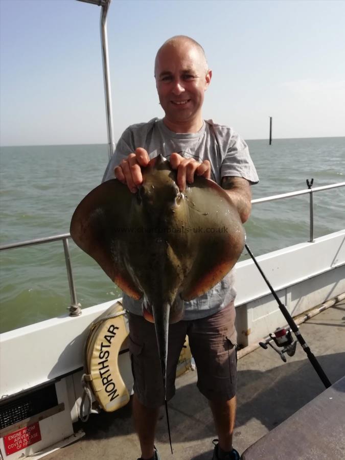 15 lb Stingray (Common) by Unknown