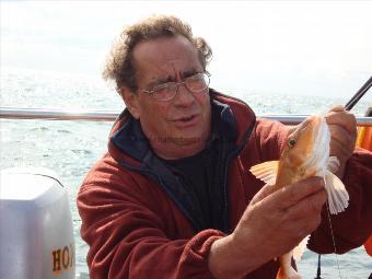 2 lb Red Gurnard by John The Bricky (john Sawyer)