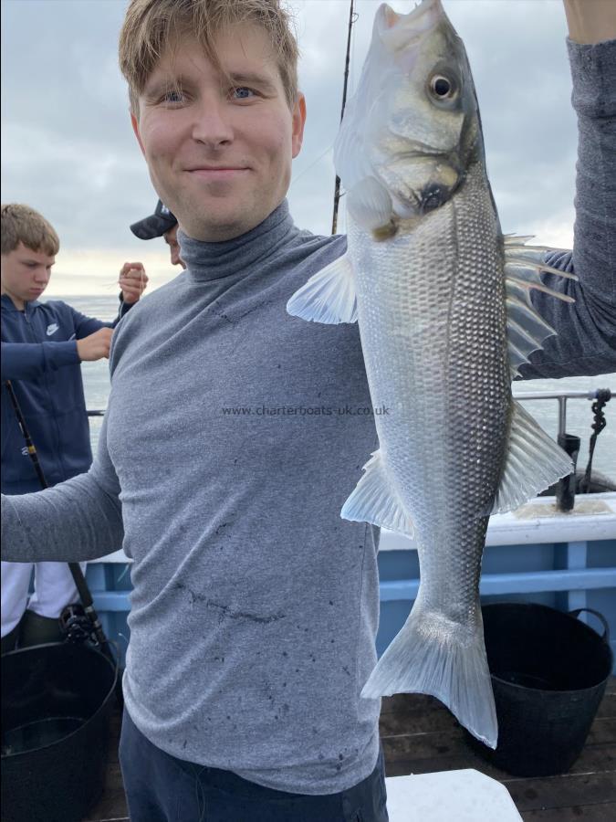 3 lb Bass by Ed from hull sea bass