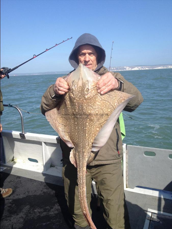 18 lb 8 oz Undulate Ray by Ricardas