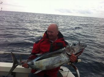 63 lb Atlantic Bonito by Unknown