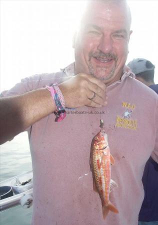 1 lb Red Mullet by Andy Selby