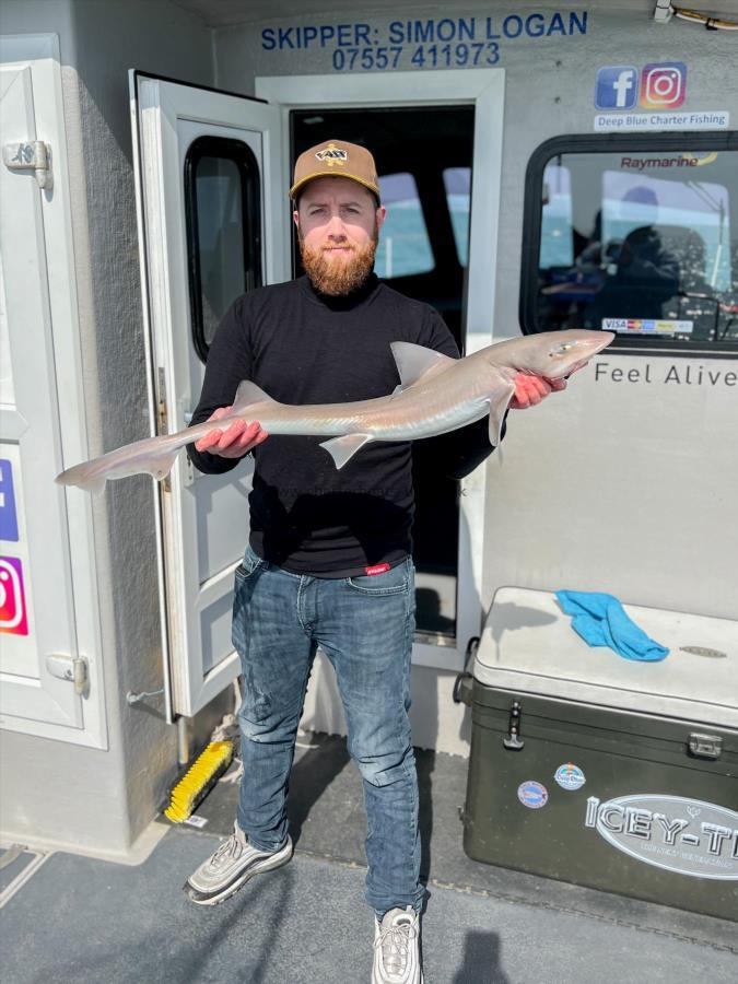 6 lb Smooth-hound by Pete
