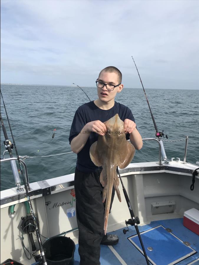 4 lb Small-Eyed Ray by Lewis