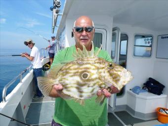 4 lb John Dory by Clive Morgan