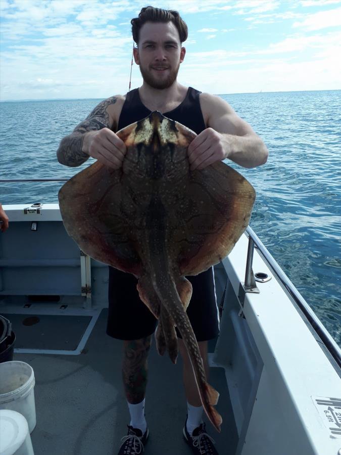 18 lb 2 oz Undulate Ray by Tom