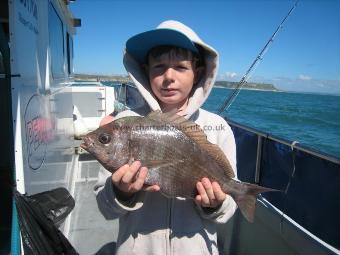 3 lb 5 oz Black Sea Bream by 9 year old Zach