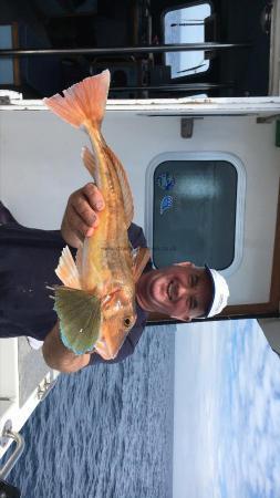 4 lb Tub Gurnard by Unknown