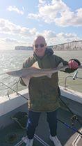 4 lb Smooth-hound by Unknown