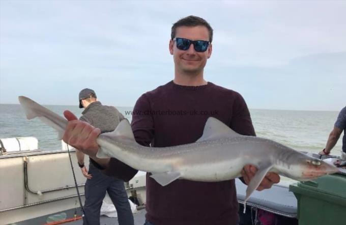 8 lb Smooth-hound by Unknown