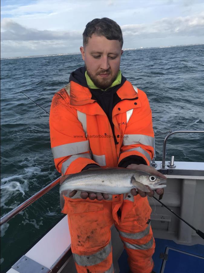 1 lb 15 oz Whiting by Under the weather angler