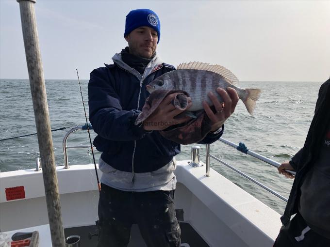 2 lb 14 oz Black Sea Bream by Steve