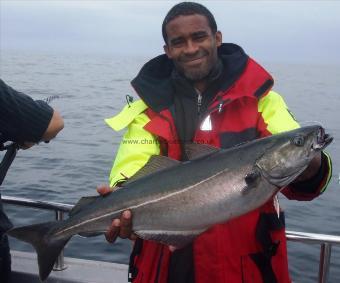 7 lb Coalfish (Coley/Saithe) by Oliver