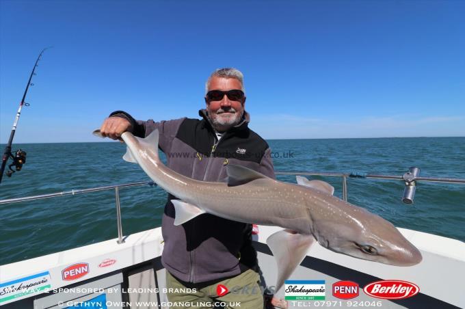 13 lb Starry Smooth-hound by Dave