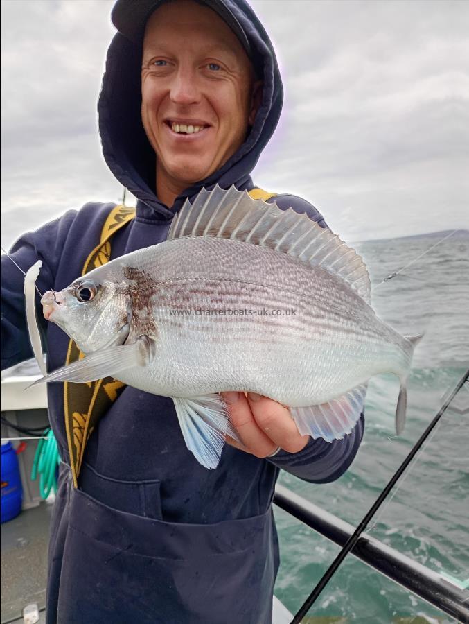 1 lb Black Sea Bream by Unknown