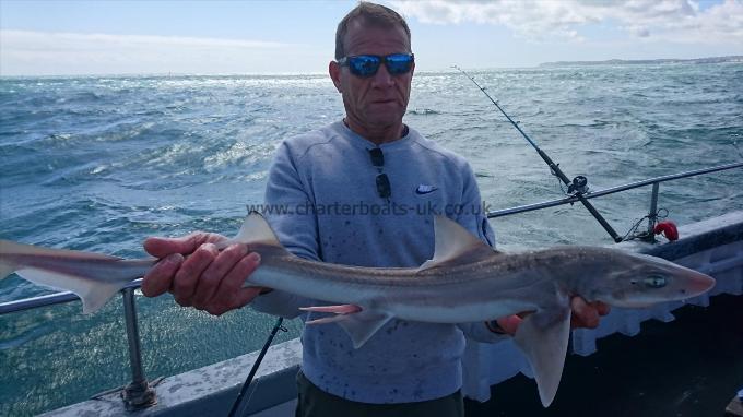 7 lb 2 oz Smooth-hound (Common) by Mick from margate