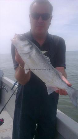 3 lb Bass by john from broadstairs