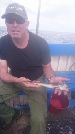 7 oz Grey Gurnard by Tim Clarkson