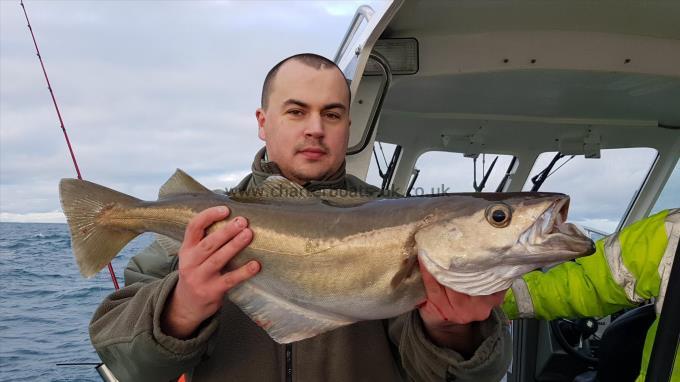 7 lb 8 oz Pollock by Mike