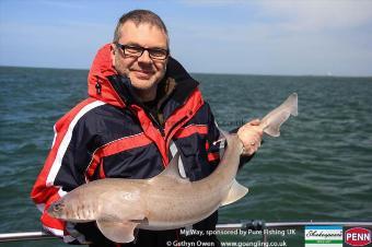 14 lb 6 oz Starry Smooth-hound by Dave