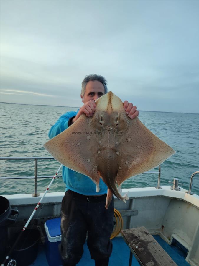 12 lb Blonde Ray by John