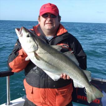 12 lb 8 oz Pollock by Stephan Attwood