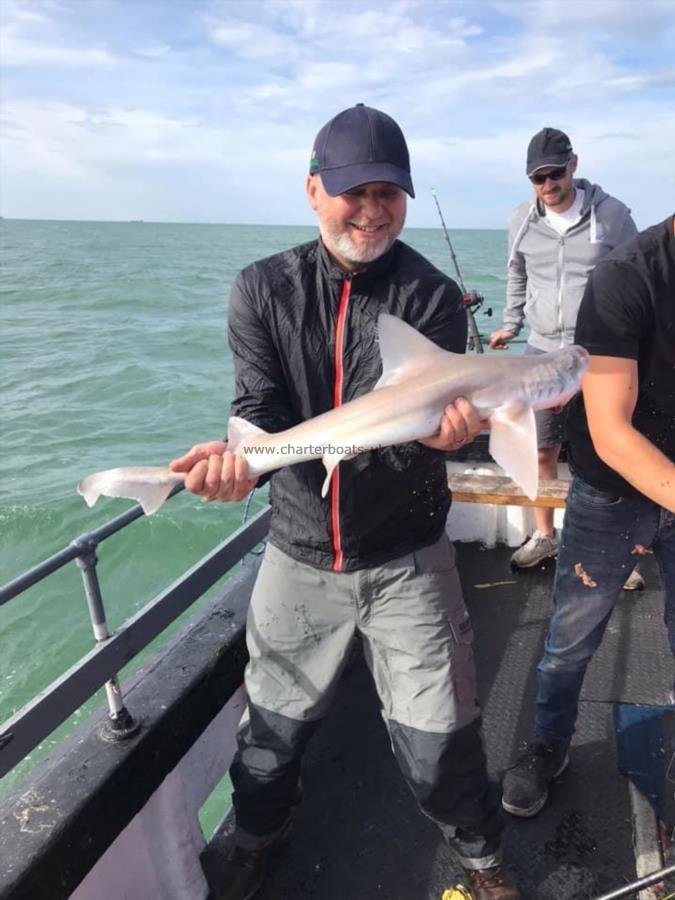 7 lb Smooth-hound by Unknown