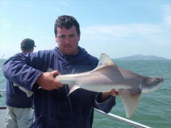 14 lb 5 oz Starry Smooth-hound by Matthew Burrett