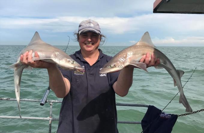 6 lb Smooth-hound by Unknown