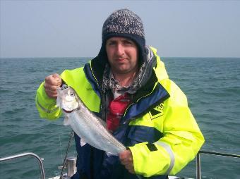 2 lb 1 oz Allis Shad by Andy