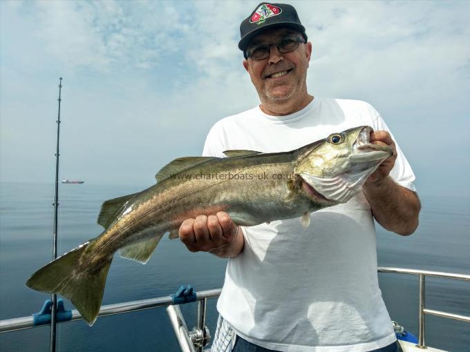 6 lb 1 oz Pollock by Unknown