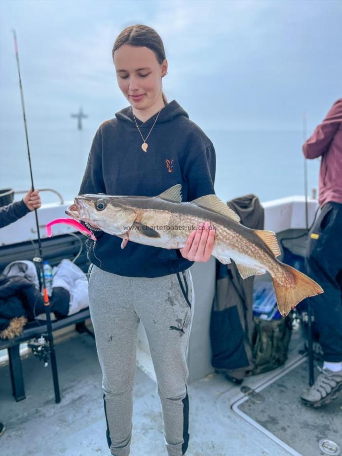 9 lb 1 oz Pollock by Pheobe