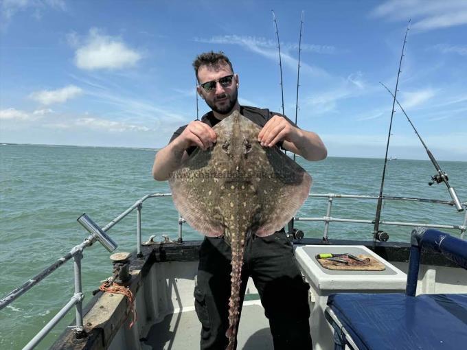 10 lb Thornback Ray by Unknown