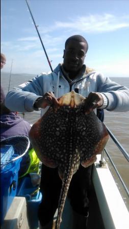 8 lb Thornback Ray by d jukes jukes