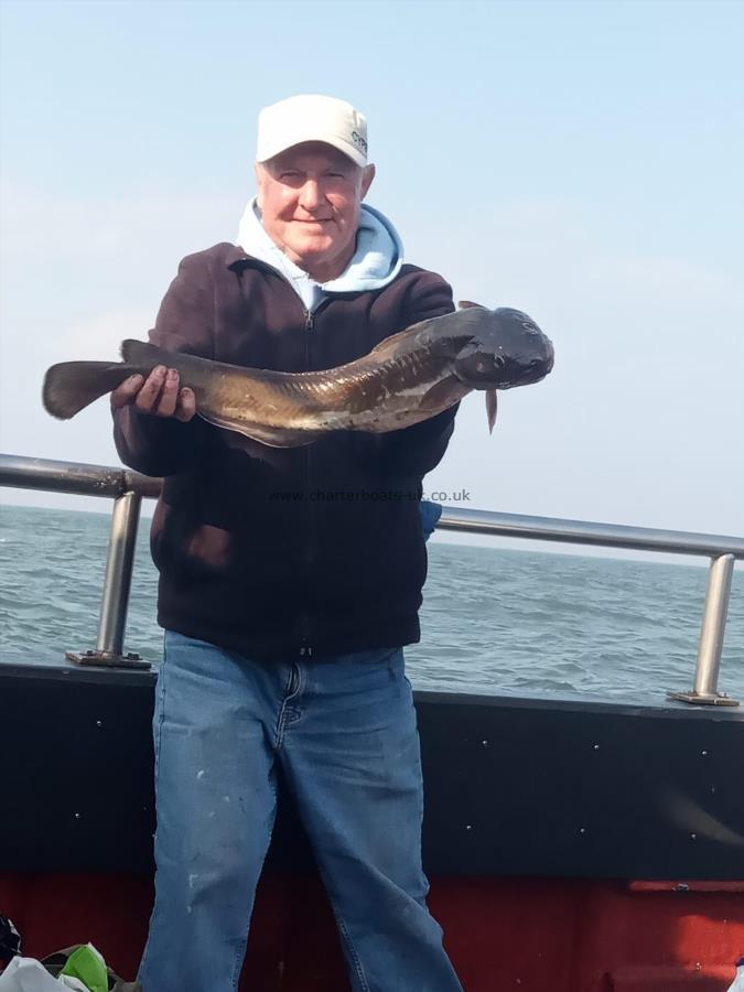 5 lb Ling by Unknown