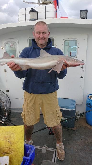 9 lb Smooth-hound (Common) by Jason Parrott