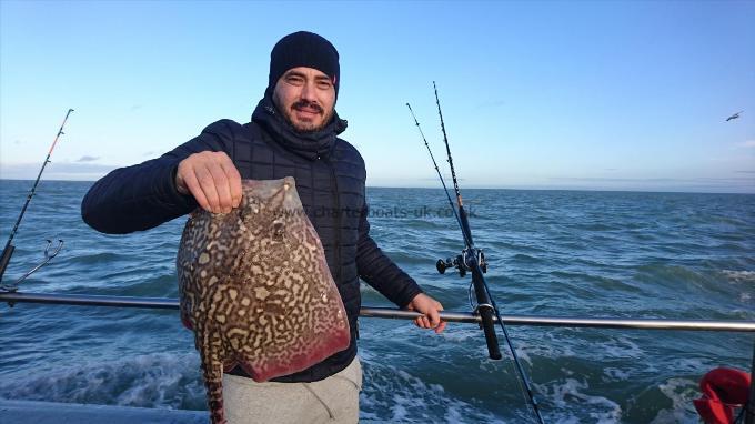 7 lb 2 oz Thornback Ray by Unknown