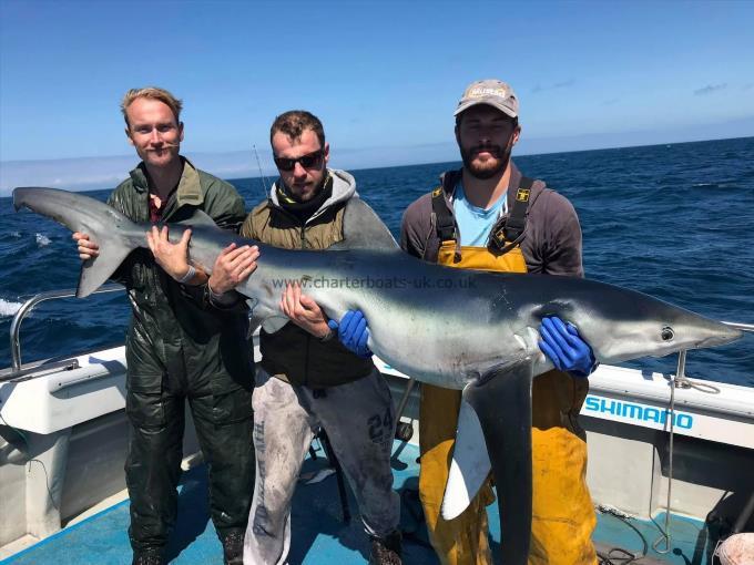 130 lb Blue Shark by Tom