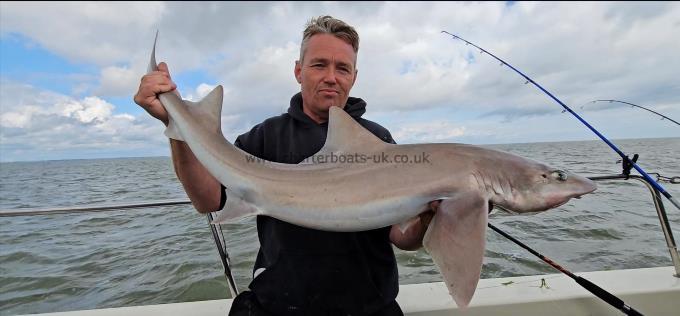 17 lb 4 oz Smooth-hound by Alan