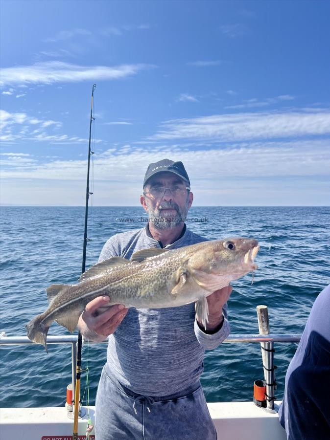 5 lb Cod by Doru