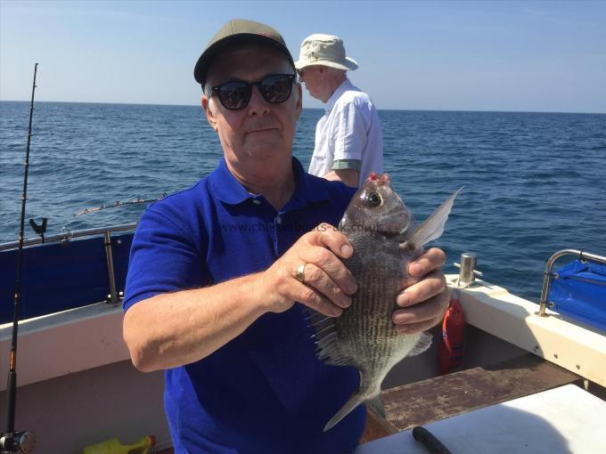 2 lb Black Sea Bream by Unknown