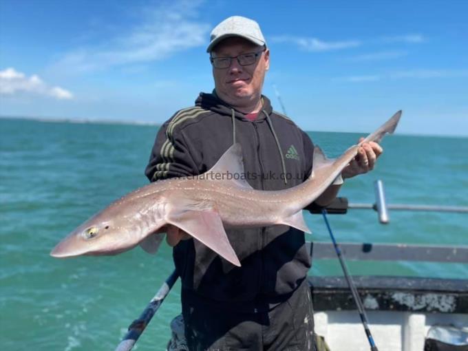 8 lb Starry Smooth-hound by Unknown