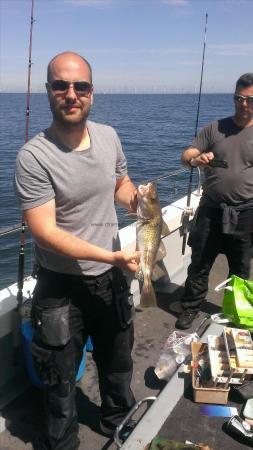 3 lb 4 oz Cod by Unknown