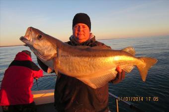 16 lb 4 oz Pollock by Stephen Wake