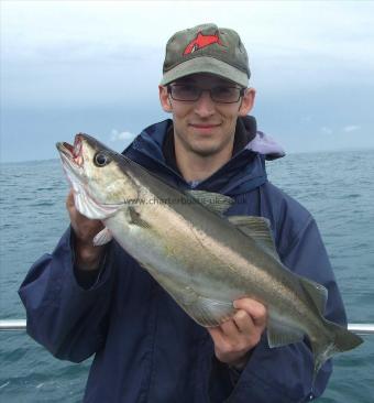 5 lb Pollock by Peter Collings