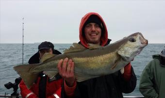 13 lb Pollock by andy