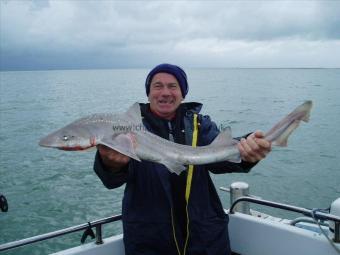 8 lb 4 oz Smooth-hound (Common) by darren