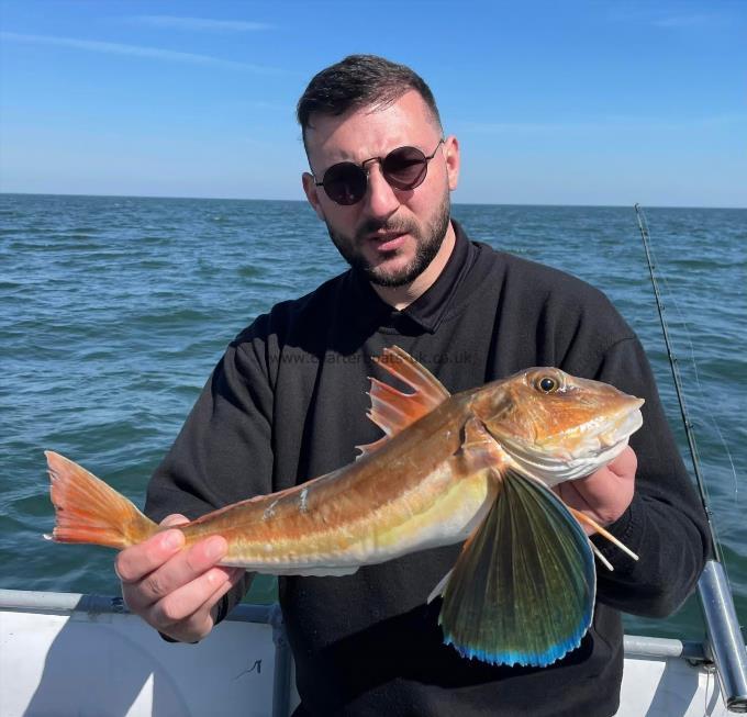 4 lb Tub Gurnard by Unknown