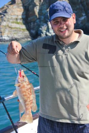 2 lb Ballan Wrasse by Wayne